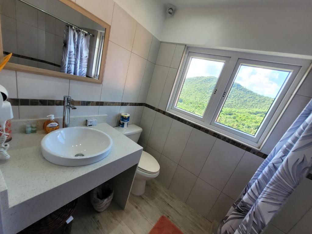 a bathroom with a sink and a toilet and a window at Casa Vista in Marigot Bay
