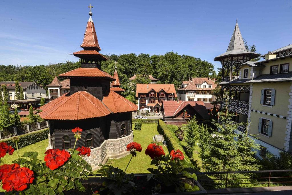 Zahrada ubytování Vila Rigo Sovata