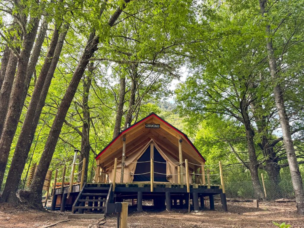 una pequeña cabaña en el bosque con árboles en Casa del Árbol - Glamping, en Malalcahuello