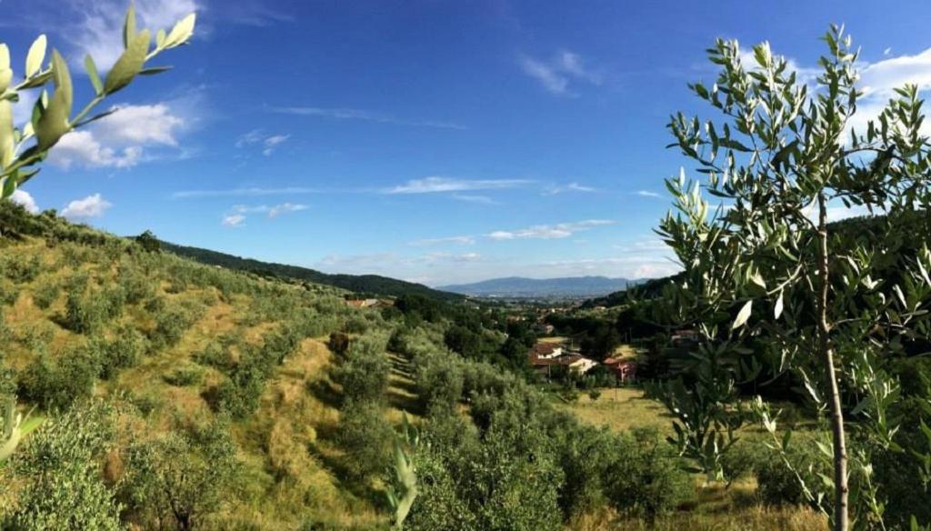 Príroda v okolí farmy