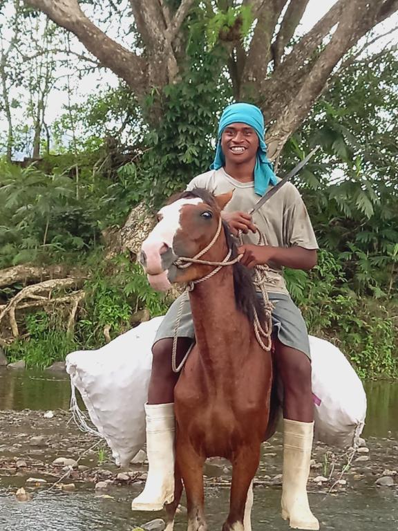 una mujer sentada sobre un caballo en el agua en Highlands Homestay Fiji en Mbukuya