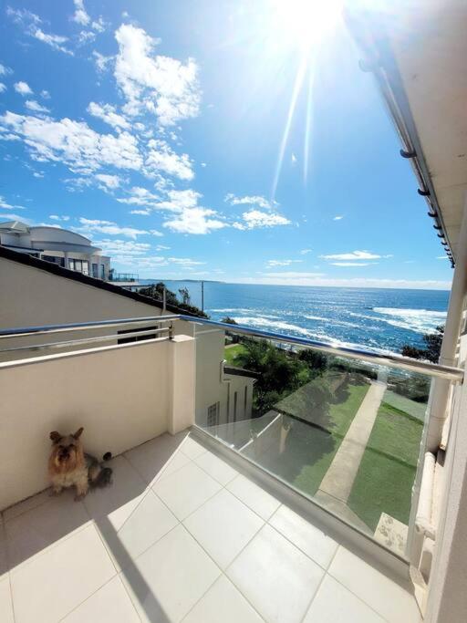 a cat sitting on a balcony looking at the ocean at Sunny Apt on The Esplanade - Aircon in Cronulla