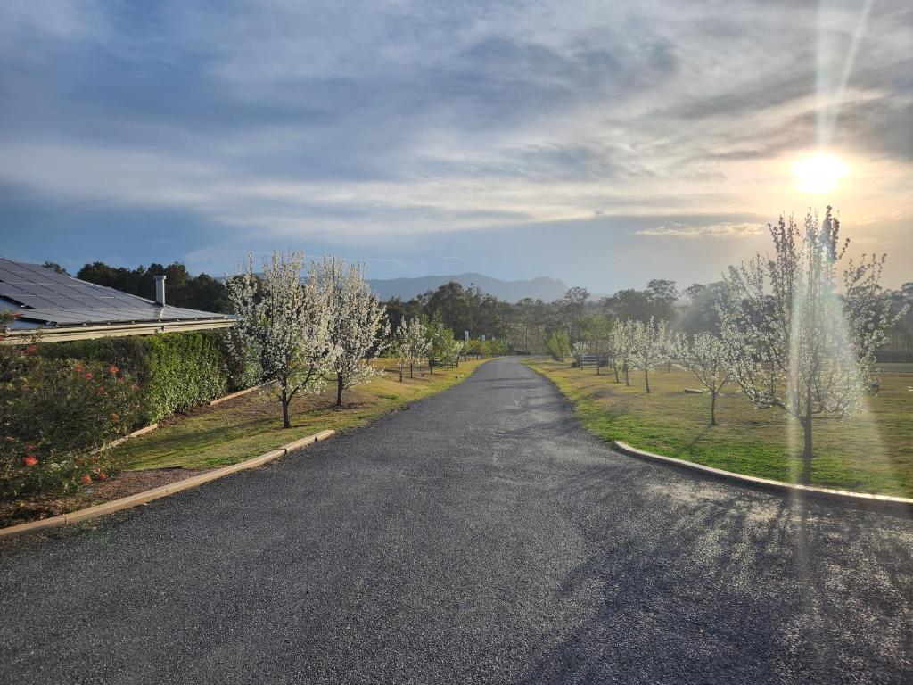 an empty road with trees on the sides of it at H Boutique Hotel in Pokolbin