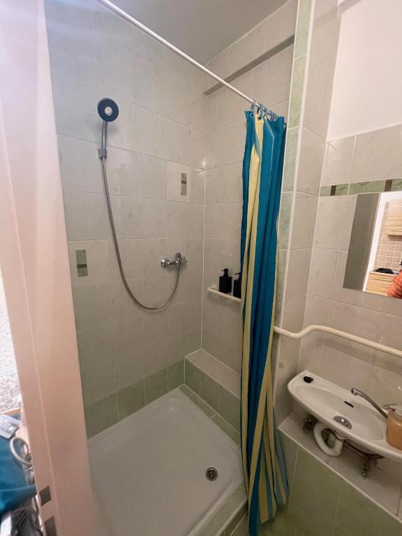Koupelna v ubytování Apartmán v zahradě Malšovice