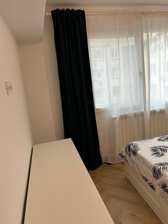 Alex Apartament Central - 一居室公寓