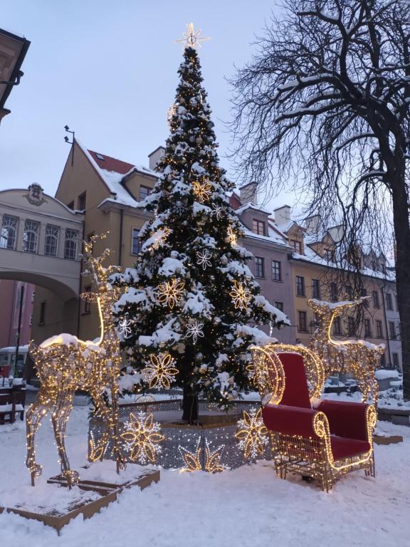 Apartament LILLA - 2