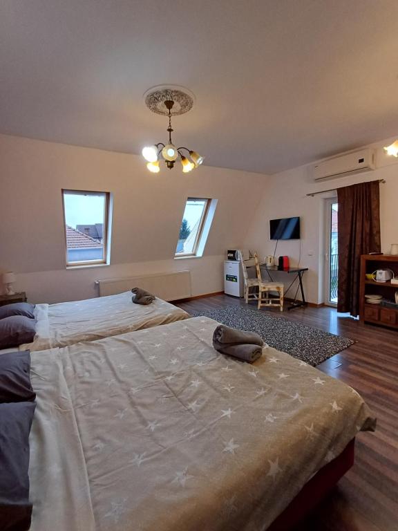 1 dormitorio con 2 camas y lámpara de araña en Pannónia Rooms and Apartments, en Satu Mare