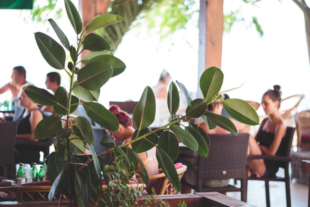 a group of people sitting at tables in a restaurant at Apartments Deus in Dobra Voda
