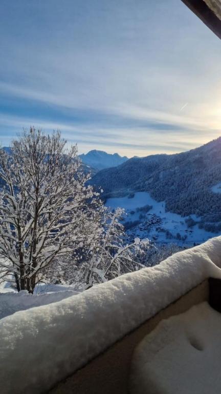 - une vue sur un arbre enneigé sur une montagne dans l'établissement Terrasses du Morel - A17 - Appart 5 pers, à Doucy