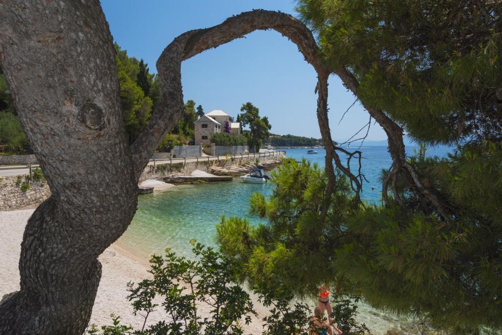 a view of a body of water with a tree at Villae Dalmaticae - Plava in Sumartin