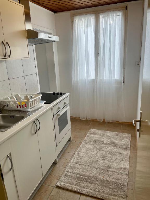 Kuchyň nebo kuchyňský kout v ubytování BLISS Basel Residence