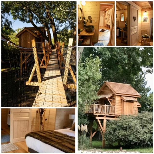 a collage of pictures of a house and a bird house at Cabane perchée luxe avec jacuzzi Domaine du Marais Maisse in Maisse