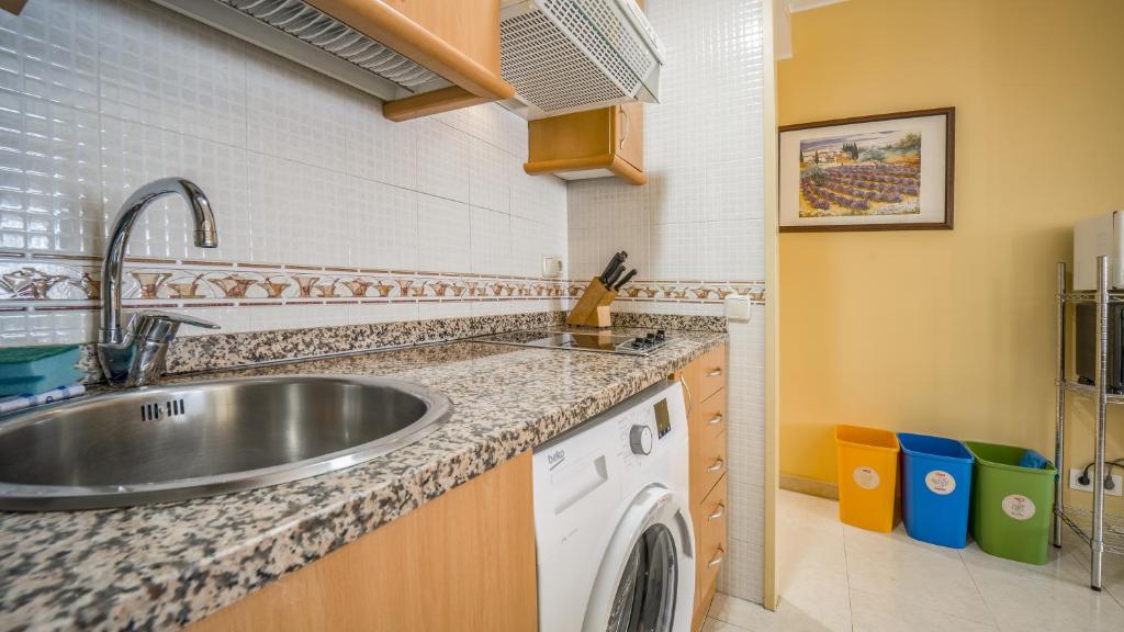 una cucina con lavello e lavatrice di Apartaments Del Meligar a Encamp