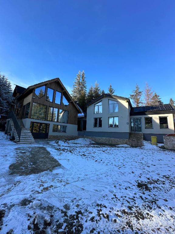 a house in the winter with snow on the ground at Black Wolf PĂLTINIȘ in Păltiniş