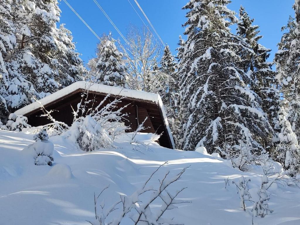 Fotografie z fotogalerie ubytování Chalet Lieblingsplatz by Interhome v destinaci Flirsch
