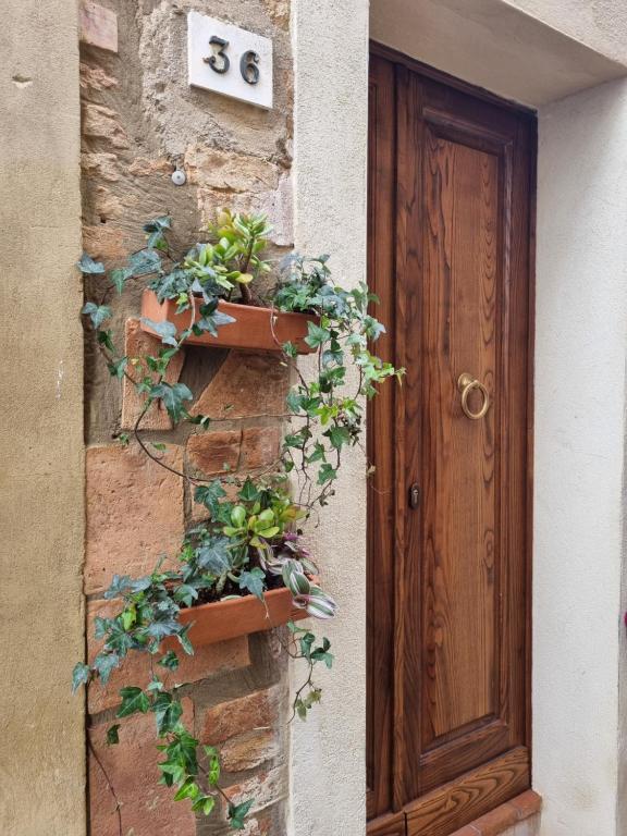 Fotografie z fotogalerie ubytování OgniVolta v destinaci Pienza