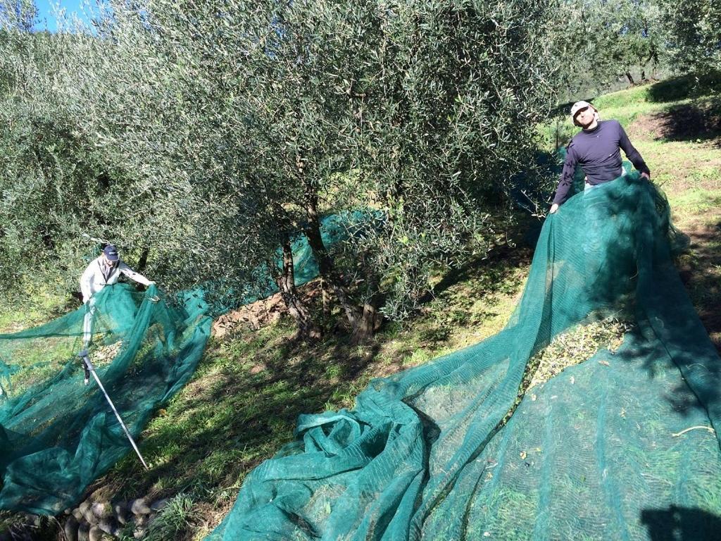 Hostia v ubytovaní Agriturismo Terrarossa