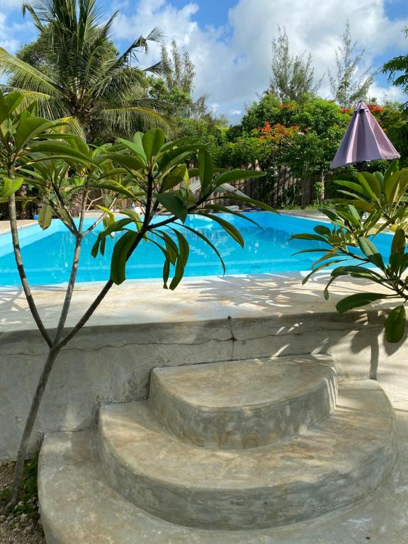 a resort with a swimming pool and a palm tree at Embe Lodge in Kizimkazi