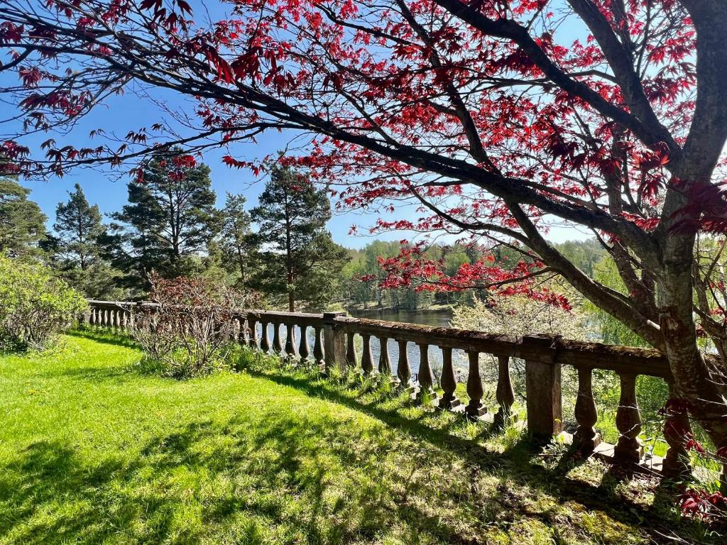Zahrada ubytování Villa Billerud