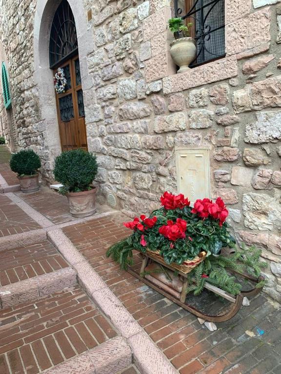 B&B La Zuppa Inglese - 15