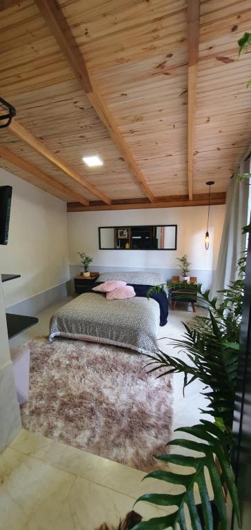Un dormitorio con una cama grande y un techo de madera. en Cabana Canal do Infinito, en Domingos Martins