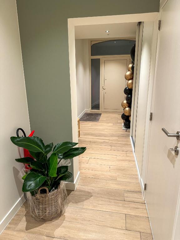 a hallway with a plant next to a door at Vakantiehuis Maison Madeleine centrum Ieper in Ieper