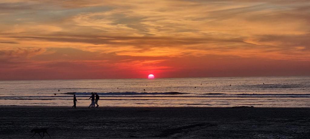 une personne et un chien sur la plage au coucher du soleil dans l'établissement Superbe studio avec une magnifique vue sur la mer., à La Panne