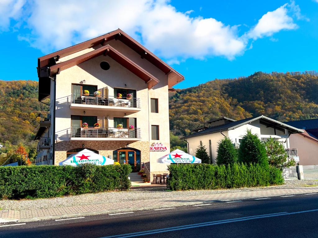 a building on the side of a road at Pensiunea Karina in Caciulata