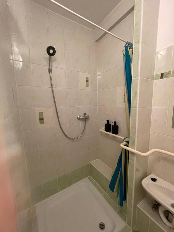 Koupelna v ubytování Apartmán v zahradě Malšovice