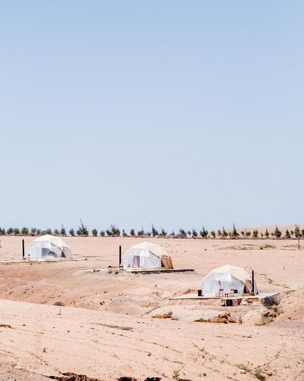 three tents in a field in the desert at Emeraude Camp Agafay in El Karia