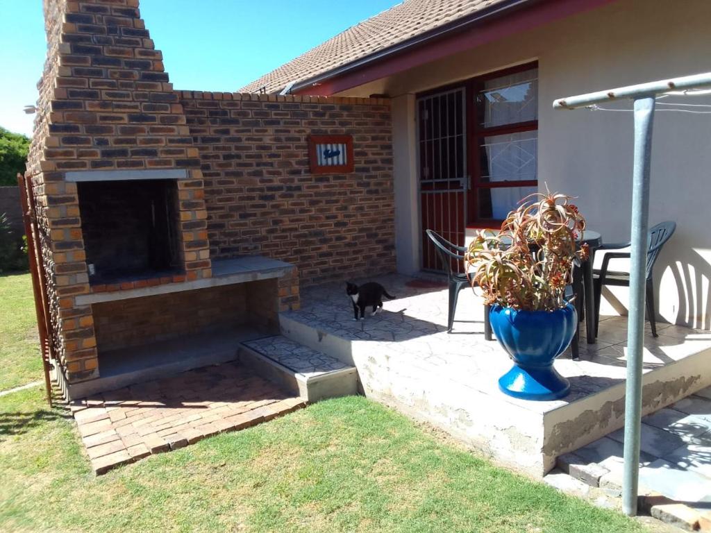 a cat standing on a patio with a brick fireplace at Raiden's Home in Saldanha