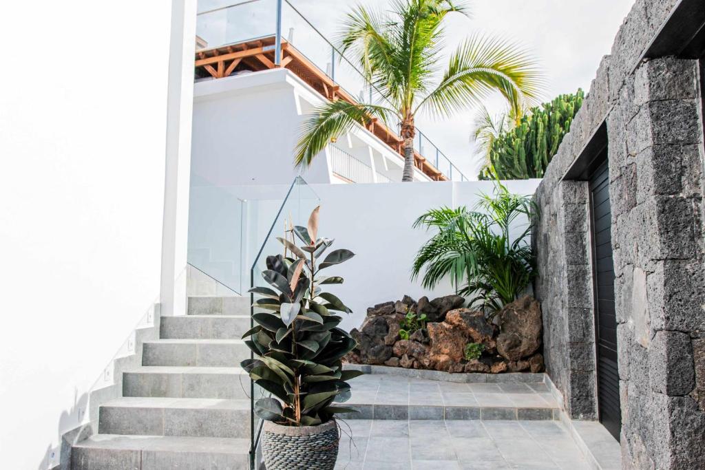 Una escalera que conduce a una casa con palmeras. en Amor a mar seahorse, en Puerto del Carmen