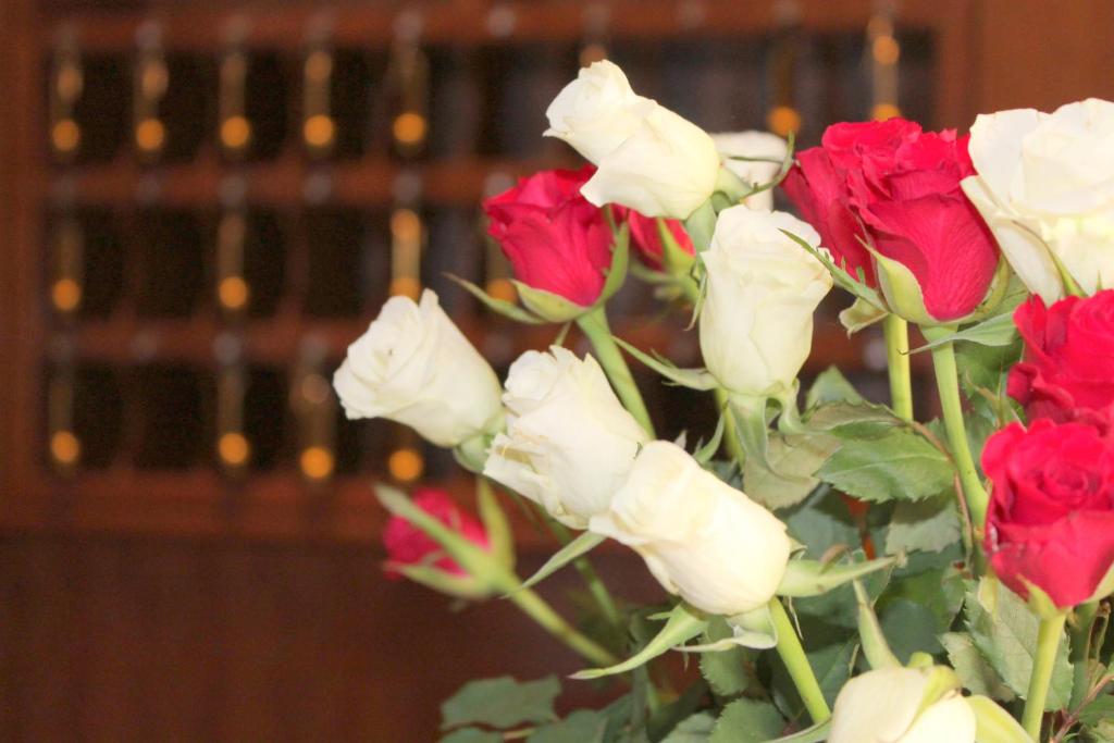 Hotel Expo Frankfurt City Centre - Resim 26