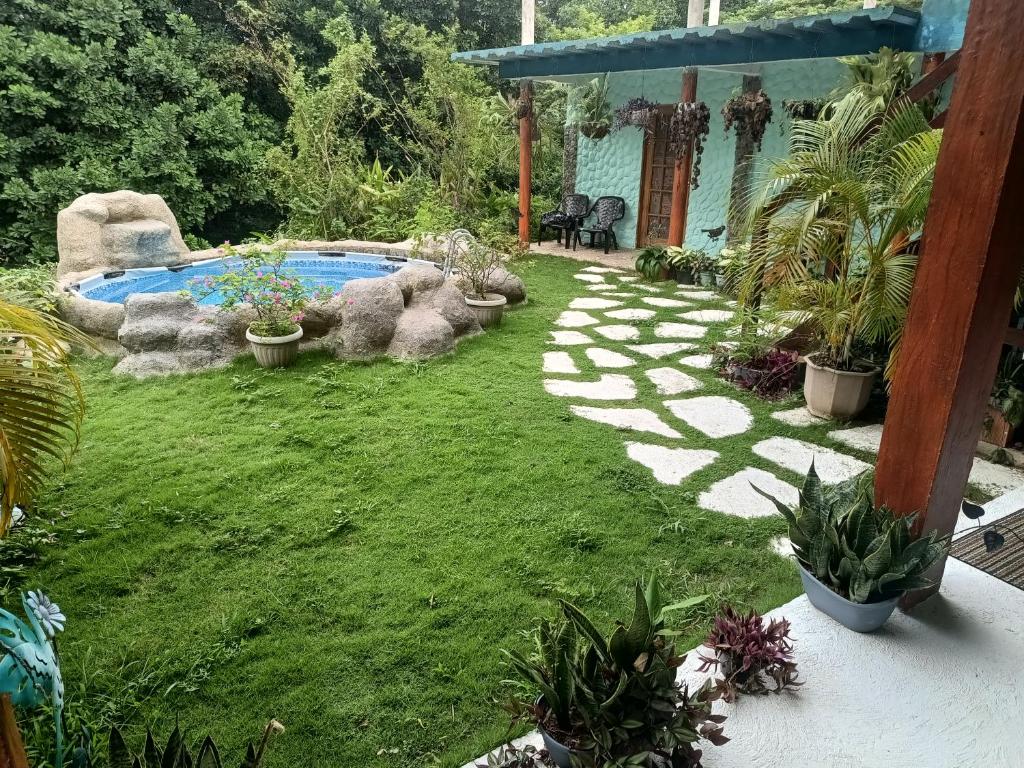 a backyard with a pool and a lawn with plants at CasaLuna Tayrona in Santa Marta