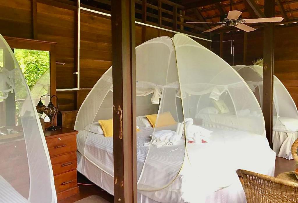 Postel nebo postele na pokoji v ubytování Wanakaset Forest Glamping