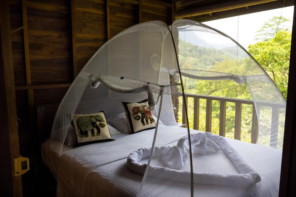Fotografie z fotogalerie ubytování Wanakaset Forest Glamping v destinaci Kitulgala