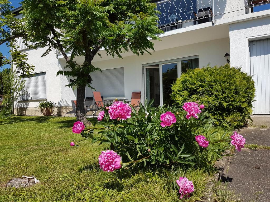 una casa con fiori rosa nel cortile di R'AUSZEIT a Niedenstein