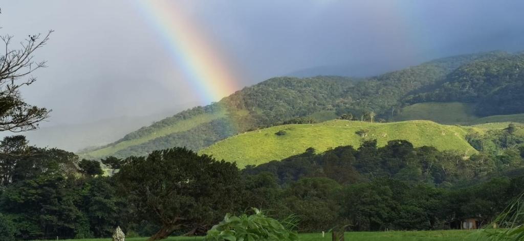 um arco-íris sobre uma colina com um campo e árvores em GREENHOUSE Loft Miravalles em Aguas Claras