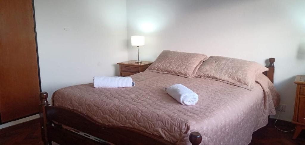 1 dormitorio con 1 cama con 2 almohadas en Departamento temporario consultar estacionamiento en Salta