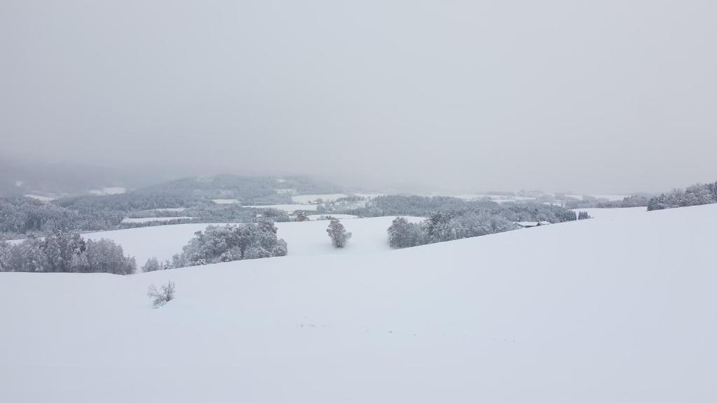 Traumurlaub im Bayerische Wald v zimě