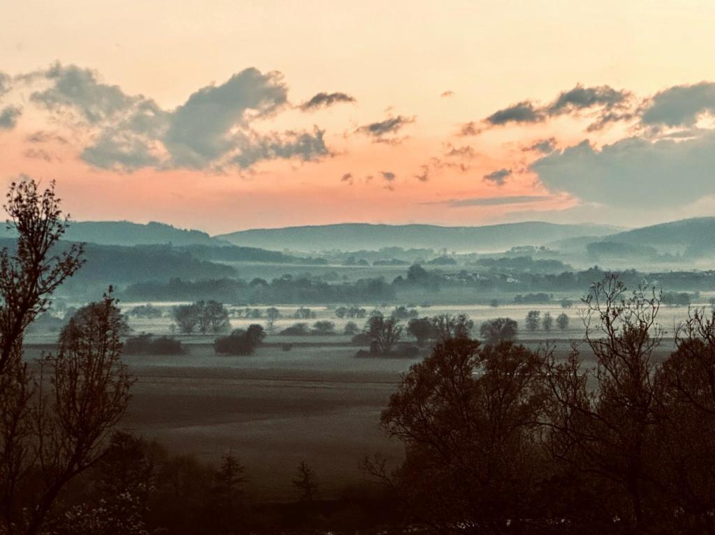 Landhotel Bellevue - 4