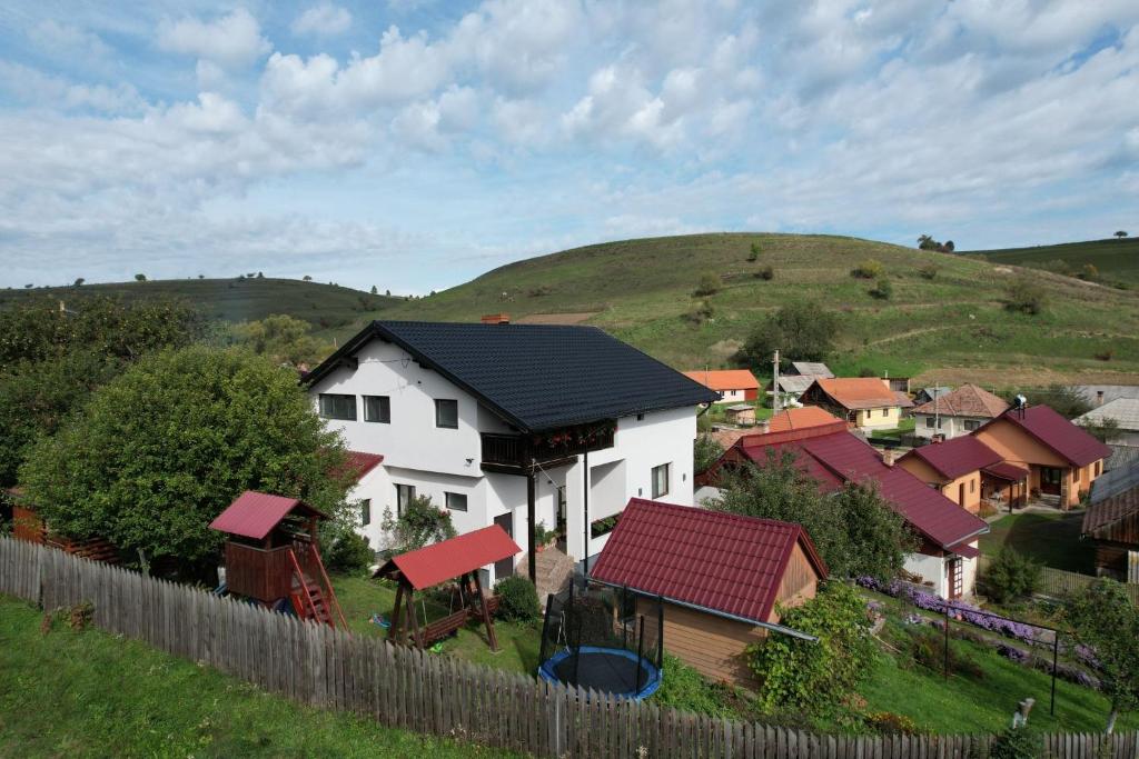Cazare la Mitică في Subcetate: مجموعة من المنازل مع تلة في الخلفية