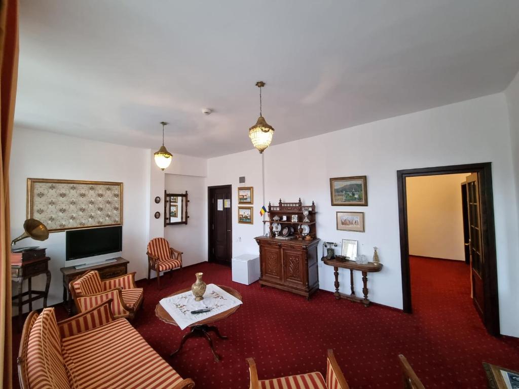 TV a/nebo společenská místnost v ubytování Hotel Perla Oltului