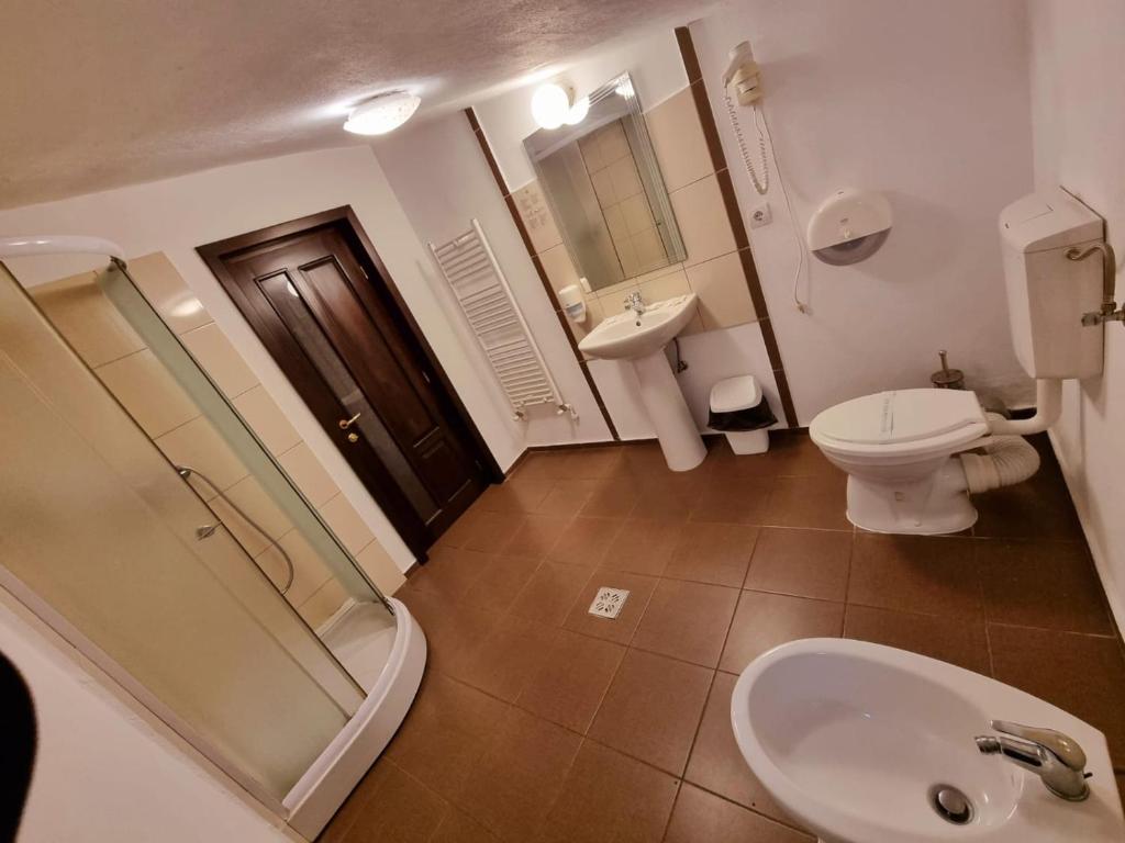 Koupelna v ubytování Hotel Perla Oltului