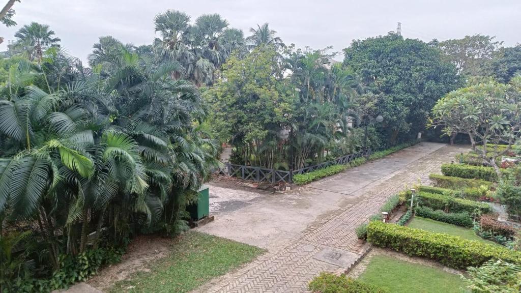 a garden with palm trees and a fence at River home in Raichak