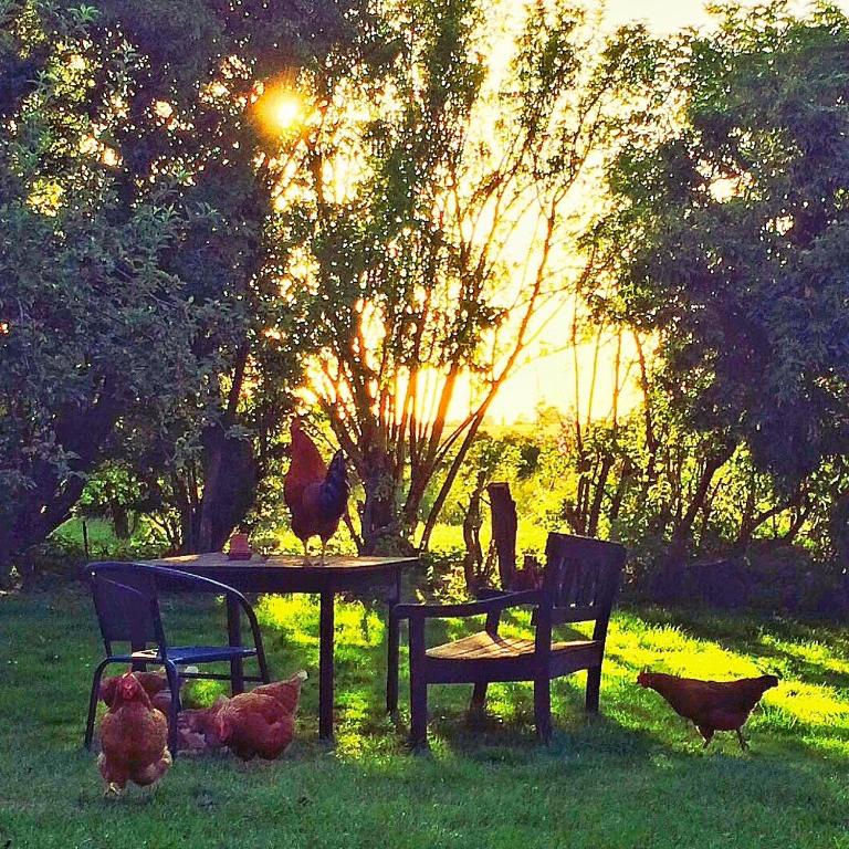 Zahrada ubytování Moen Oekologisk Bed & Breakfast