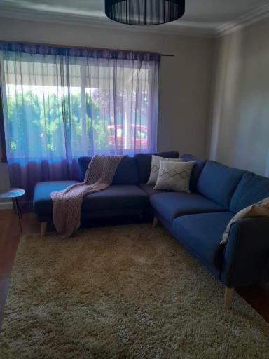 Sofá azul en la sala de estar con ventana en 3 Bedroom Home, en Wangaratta