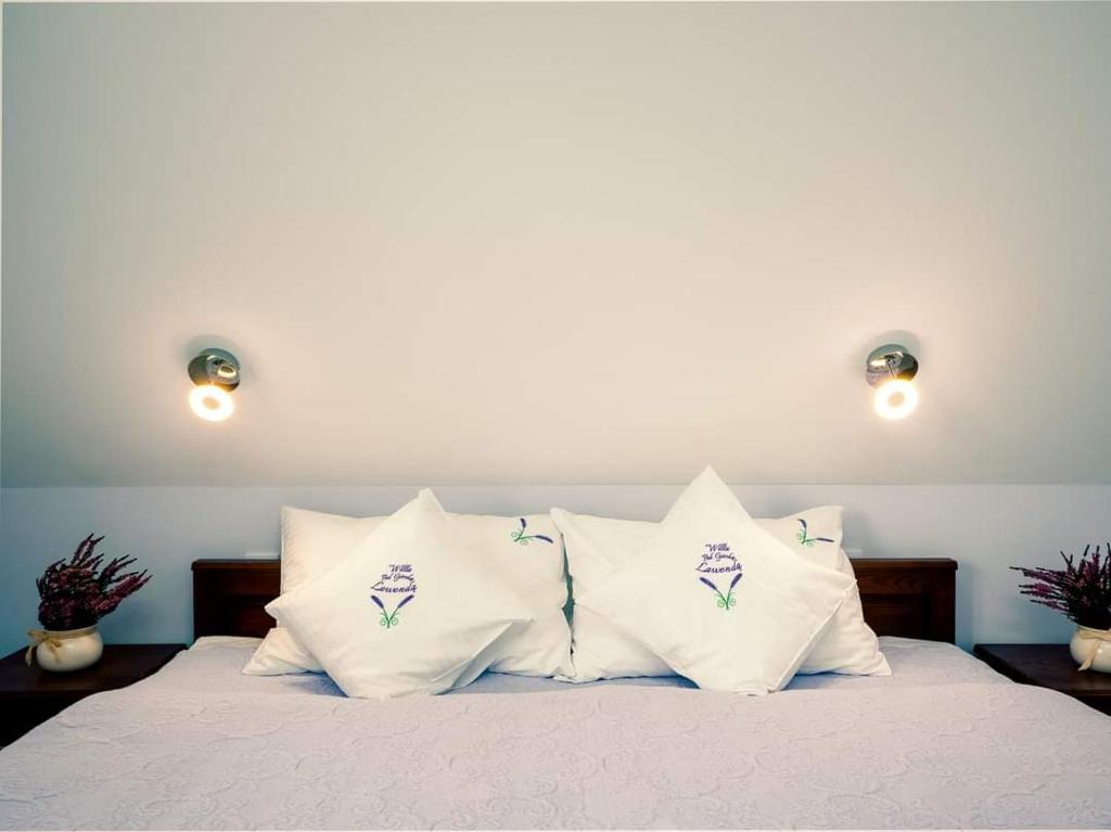 Willa Pod Górską Lawendą - 2