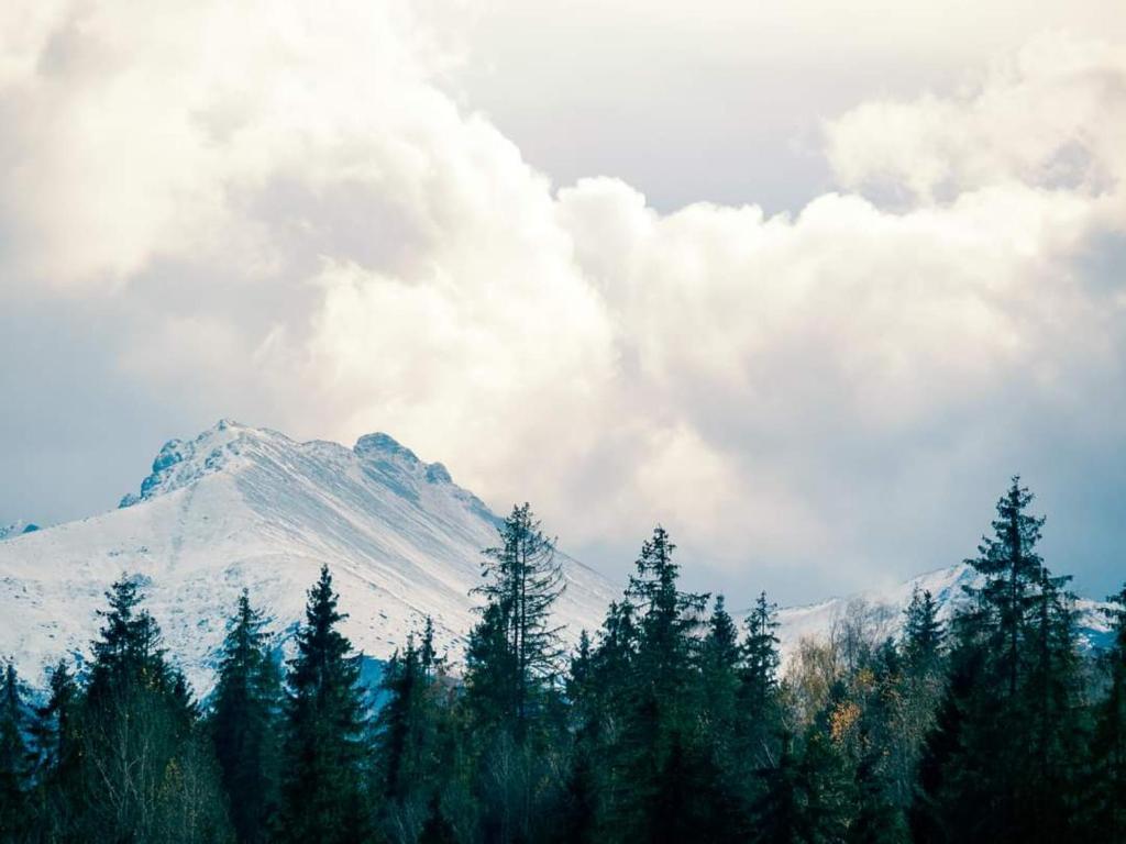 Willa Pod Górską Lawendą - 3