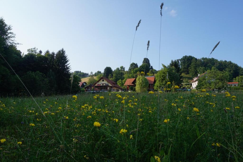 Zahrada ubytování Seminar- und Erlebnishof Das schwarze Schaf